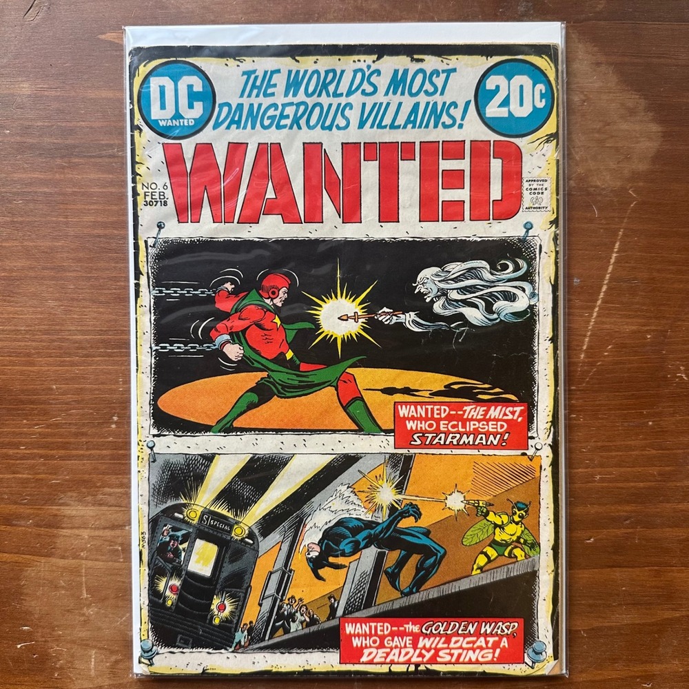 DC Wanted #6 Feb 1973 The Worlds Most Dangerous Villains Starman Wildcat VG+ Raw